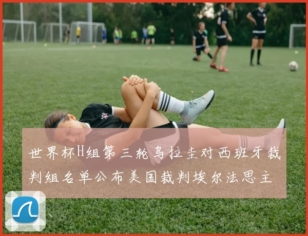 世界杯H组第三轮乌拉圭对西班牙裁判组名单公布美国裁判埃尔法思主裁判