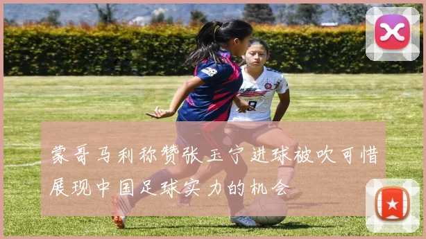 蒙哥马利称赞张玉宁进球被吹可惜展现中国足球实力的机会